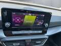 SEAT Leon Style 2.0 TDI Schwarz - thumbnail 14
