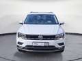 Volkswagen Tiguan 2.0 TDI SCR 4Motion DSG Comfortline Weiß - thumbnail 7
