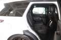 Land Rover Range Rover Sport HSE Dynamic Hybrid Weiß - thumbnail 20