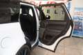 Land Rover Range Rover Sport HSE Dynamic Hybrid Weiß - thumbnail 19