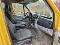 Mercedes-Benz Sprinter II Kasten 215 CDI Aut*Standhzg*Klima*HU Żółty - thumbnail 15