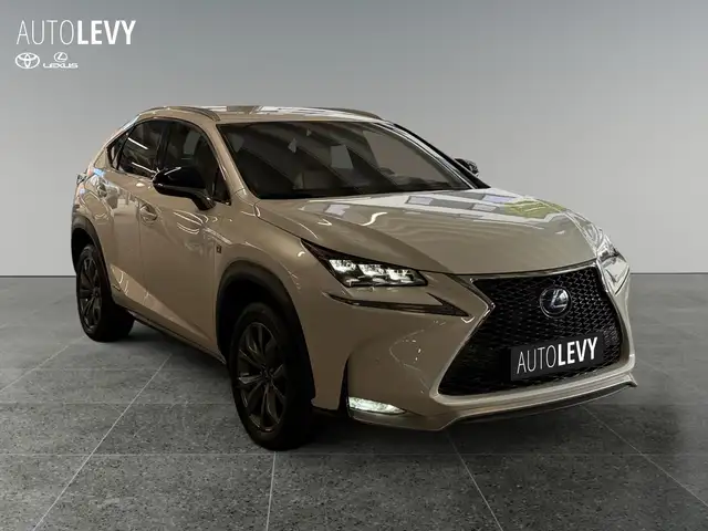 Lexus NX view 8