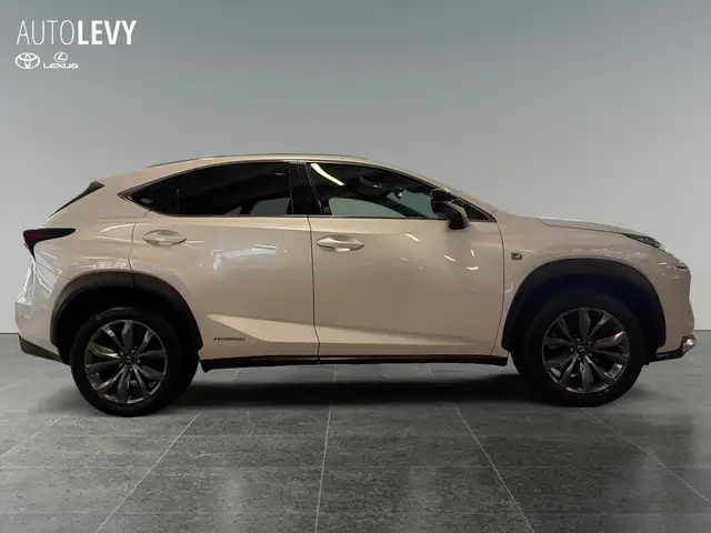Lexus NX view 7