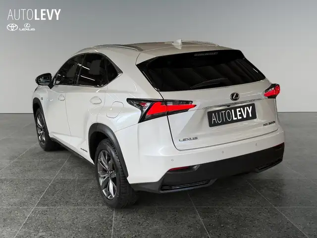 Lexus NX view 4
