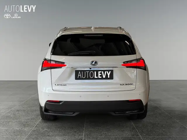 Lexus NX view 5