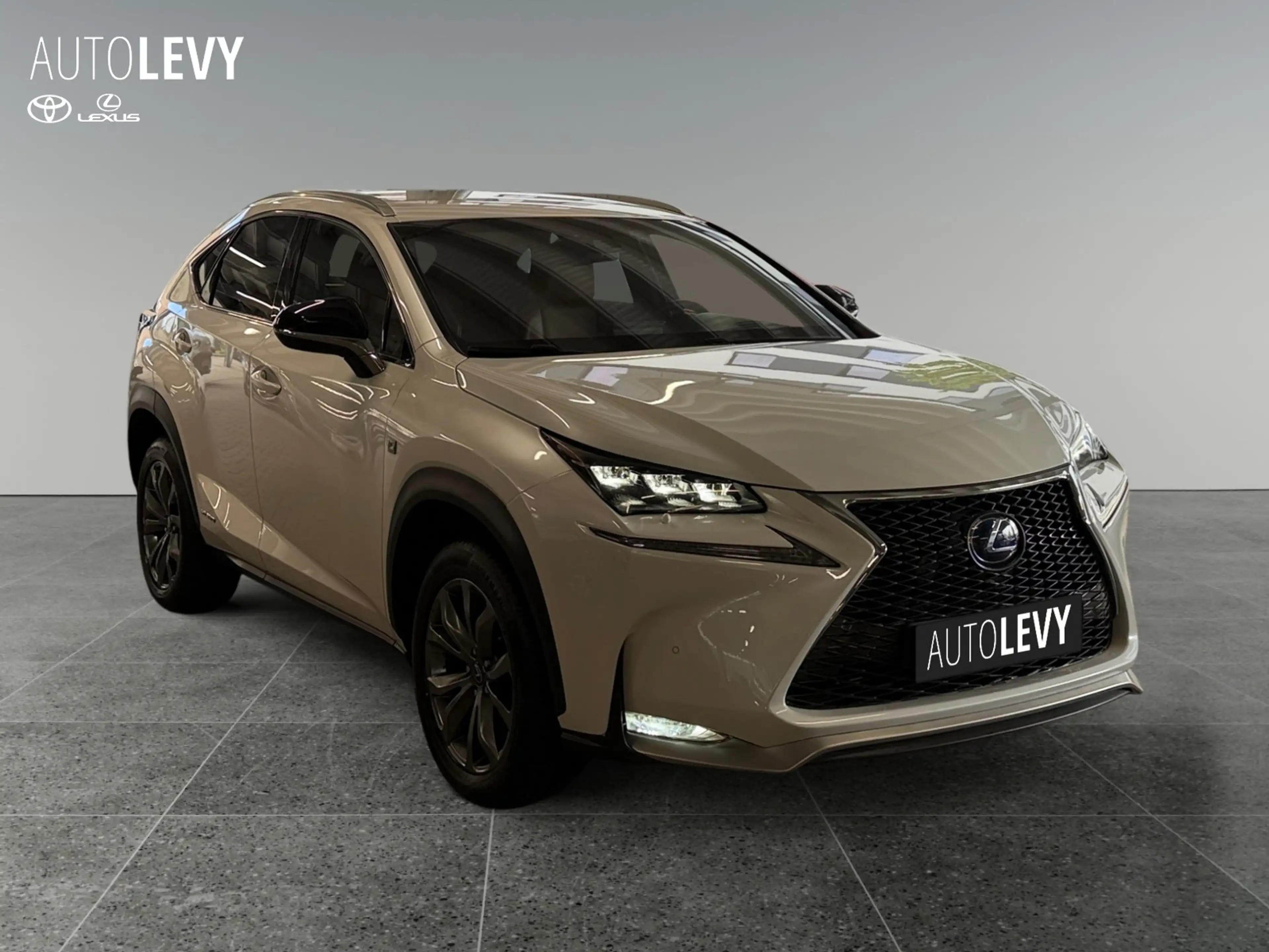 Lexus NX 300h F-Sport +HeadUp+PDC+SHZ+Leder+Kamera — photo 8