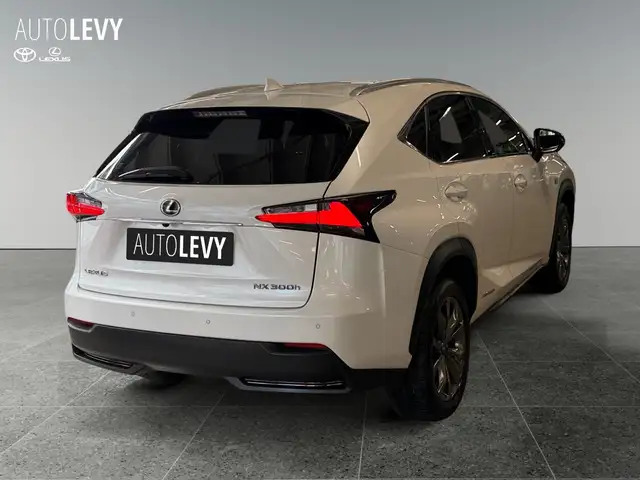 Lexus NX view 6