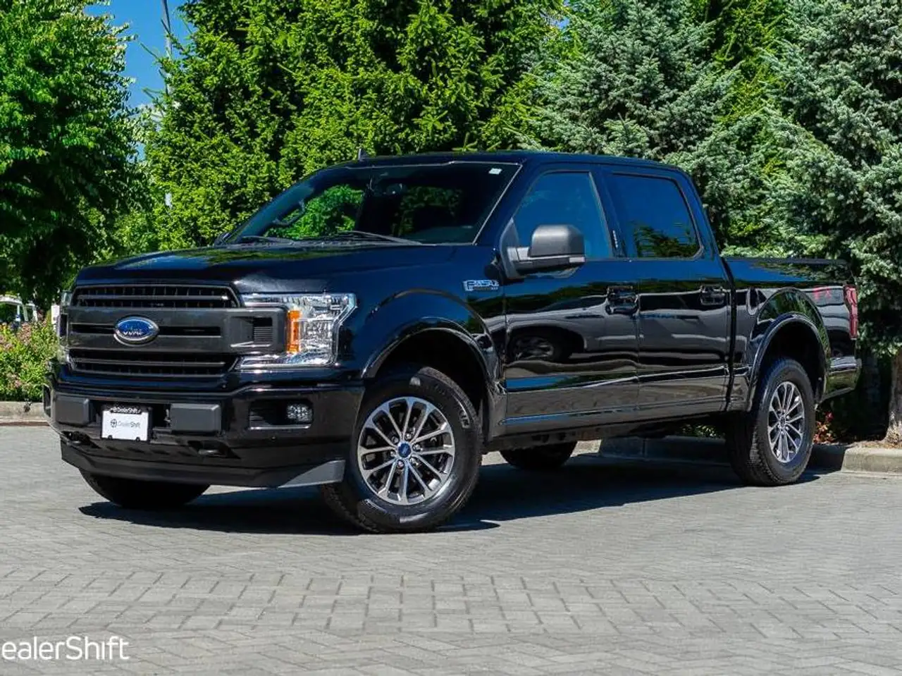 2019 Ford F 150