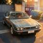 Daimler Double Six Daimler double six v12 - thumbnail 11