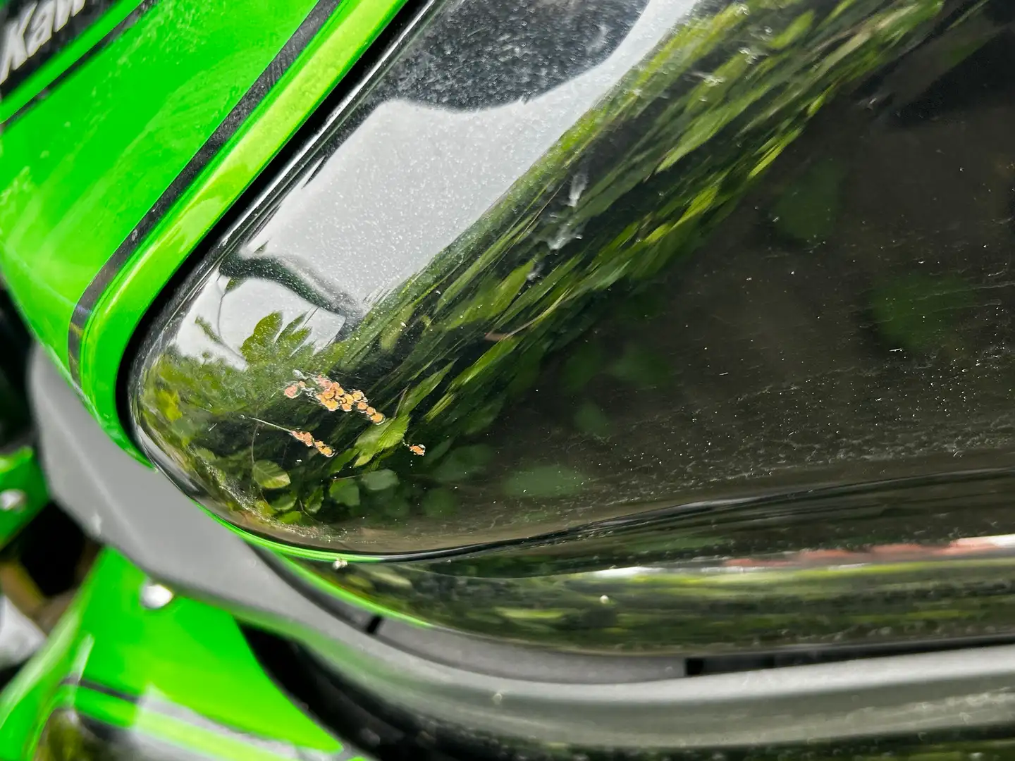Kawasaki ER - 6 N Zwart - 2