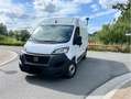 Fiat Ducato L2H2 ,Euro 6B Wit - thumbnail 1