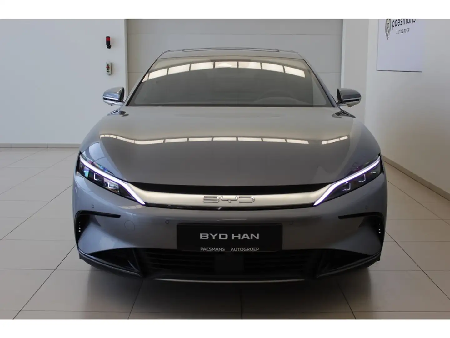 BYD Executive AWD Сірий - 2