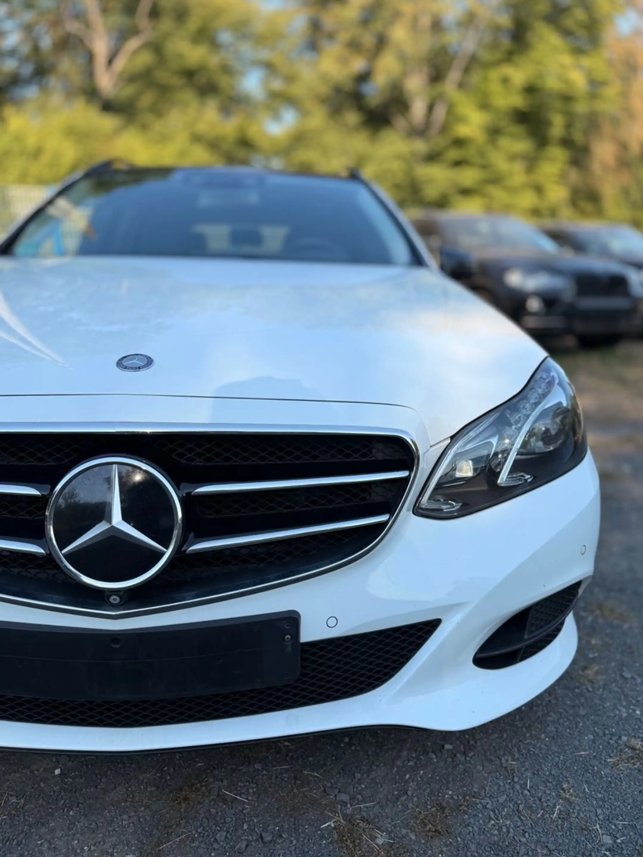 Mercedes-Benz E 300 T-Modell Edition E*360°*PANO*MB-Scheckheft — photo 7