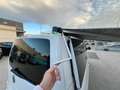 Volkswagen T5 Caravelle 2.0BiTDI BMT Comfortline Ed. DSG Blanco - thumbnail 42