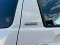 Volkswagen T5 Caravelle 2.0BiTDI BMT Comfortline Ed. DSG Blanco - thumbnail 25