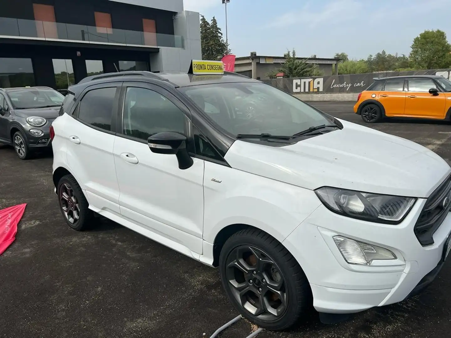 Ford EcoSport EcoSport 1.5 TDCI ST-Line Bianco - 2