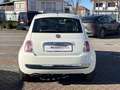 Fiat 500 1.2 Lounge 69cv E6 Weiß - thumbnail 13