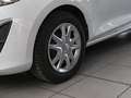 Ford Fiesta Trend PDC BLUETOOTH KLIMA MULTIFLENKRAD White - thumbnail 12