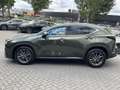 Lexus NX 450h+ AWD Luxury Line TREKHAAK STOELVERW STUURVERW GROOT - thumbnail 6