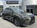 Lexus NX 450h+ AWD Luxury Line TREKHAAK STOELVERW STUURVERW GROOT - thumbnail 9