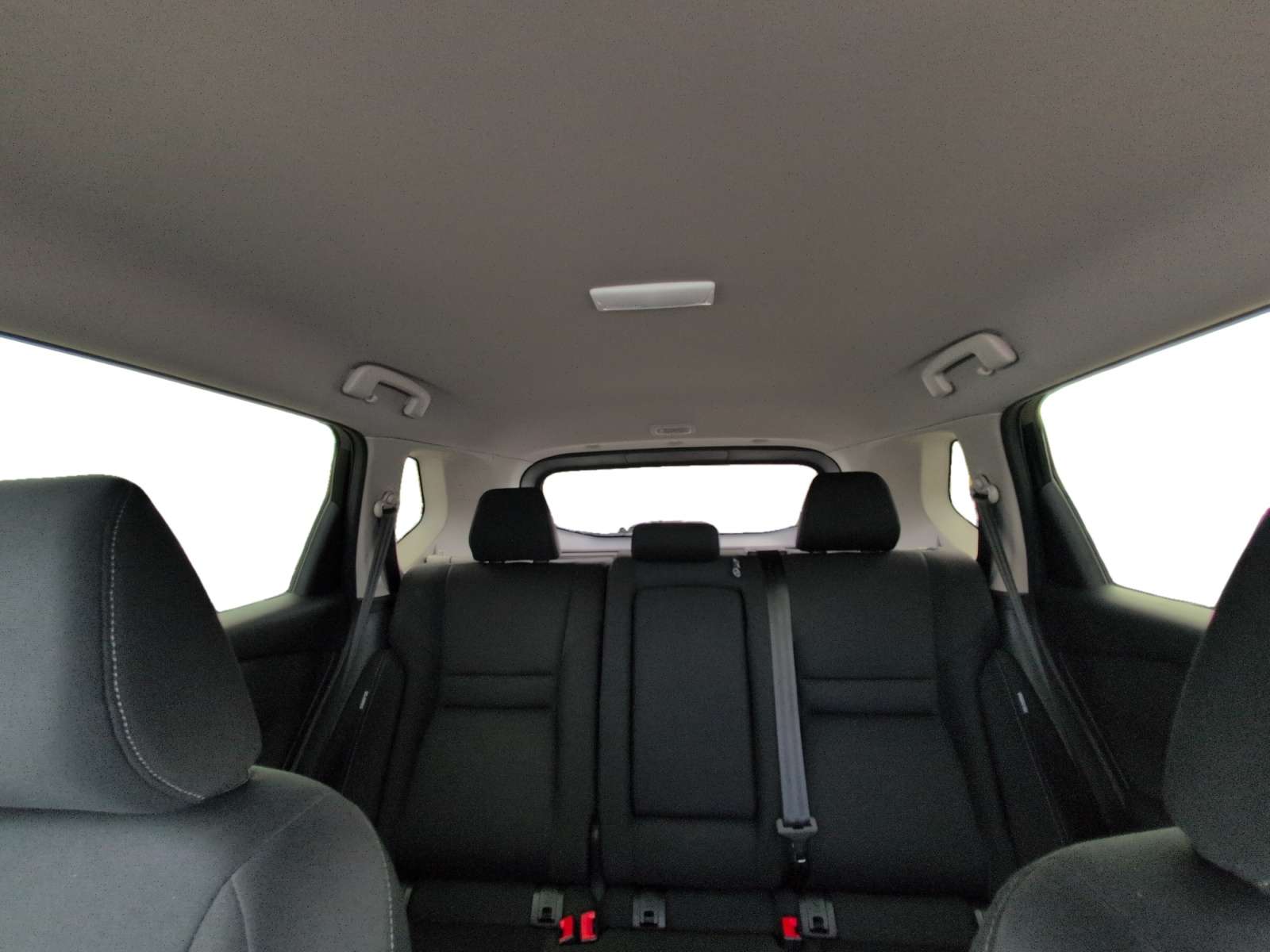 Image 19
