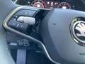 Skoda Octavia Combi 2.0 TDI Selection Navi 360 Grad LE Schwarz - thumbnail 22
