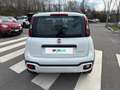 Fiat Panda 1.0 70cv S&S Hybrid E6d-T City Cross Bianco - thumbnail 4