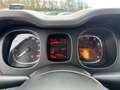 Fiat Panda 1.0 70cv S&S Hybrid E6d-T City Cross Bianco - thumbnail 12