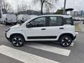Fiat Panda 1.0 70cv S&S Hybrid E6d-T City Cross Bianco - thumbnail 2