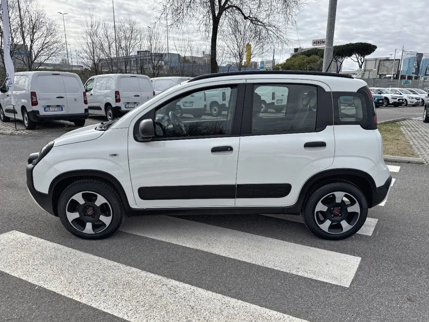 Fiat Panda 1.0 70cv S&S Hybrid E6d-T City Cross Bianco - 2