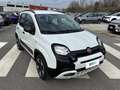 Fiat Panda 1.0 70cv S&S Hybrid E6d-T City Cross Bianco - thumbnail 5