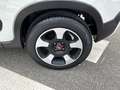Fiat Panda 1.0 70cv S&S Hybrid E6d-T City Cross Bianco - thumbnail 7