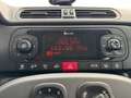 Fiat Panda 1.0 70cv S&S Hybrid E6d-T City Cross Bianco - thumbnail 14