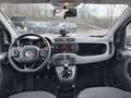 Fiat Panda 1.0 70cv S&S Hybrid E6d-T City Cross Bianco - thumbnail 8