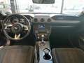Ford Mustang Fastback 2.3 EcoBoost aut. Blu/Azzurro - thumbnail 10