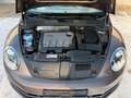 Volkswagen Beetle Cabriolet Design/DSG/BI-XEN/SHZ/GARANTIE Braun - thumbnail 16
