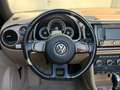 Volkswagen Beetle Cabriolet Design/DSG/BI-XEN/SHZ/GARANTIE Braun - thumbnail 20