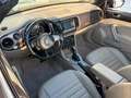 Volkswagen Beetle Cabriolet Design/DSG/BI-XEN/SHZ/GARANTIE Braun - thumbnail 25