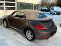Volkswagen Beetle Cabriolet Design/DSG/BI-XEN/SHZ/GARANTIE Braun - thumbnail 11