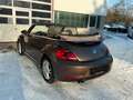 Volkswagen Beetle Cabriolet Design/DSG/BI-XEN/SHZ/GARANTIE Braun - thumbnail 8