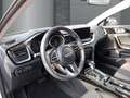 Kia Ceed / cee'd Ultimate Edition 1.5T Mild-Hybrid DCT Style-Paket Weiß - thumbnail 10