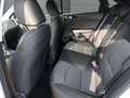 Kia Ceed / cee'd Ultimate Edition 1.5T Mild-Hybrid DCT Style-Paket Weiß - thumbnail 9