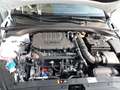 Kia Ceed / cee'd Ultimate Edition 1.5T Mild-Hybrid DCT Style-Paket Weiß - thumbnail 28