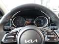 Kia Ceed / cee'd Ultimate Edition 1.5T Mild-Hybrid DCT Style-Paket Weiß - thumbnail 12