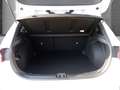 Kia Ceed / cee'd Ultimate Edition 1.5T Mild-Hybrid DCT Style-Paket Weiß - thumbnail 5