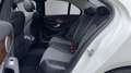 Mercedes-Benz C 350 e AVANTGARDE PARK-P TTW GS-DACH LUFT NIGHT Bianco - thumbnail 12