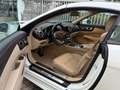 Mercedes-Benz SL 500 AMG Weiß - thumbnail 13