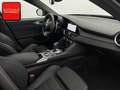 Alfa Romeo Giulia 2.0 Turbo Veloce Q4 SPECIALE+PANO+MEMO+ Schwarz - thumbnail 15