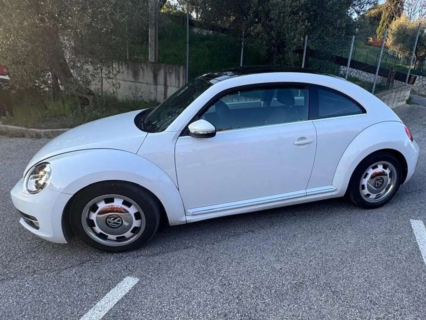 Volkswagen Maggiolino Maggiolino 2011 1.6 tdi Design 105cv Alb - 1