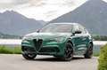 Alfa Romeo Stelvio Q4 Quadrifoglio „100 Anniversario“ | 1 of 100 Grün - thumbnail 19